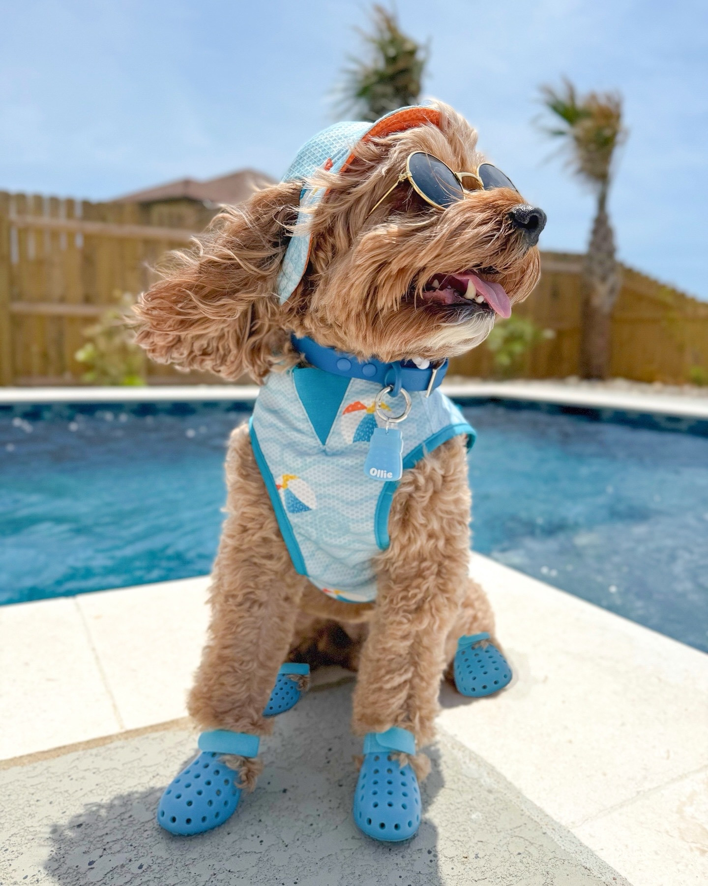 Ready for the summer! ☀️ Obsessed with this bucket hat and cooling vest set! Linked it below. Ollie is in a medium in vest and s/m in hat. He’s 21 lbs for reference. Boots are from @wagwear on Insta SITOLLIESIT to save. Ollie is in a XS in the Mojave wellies