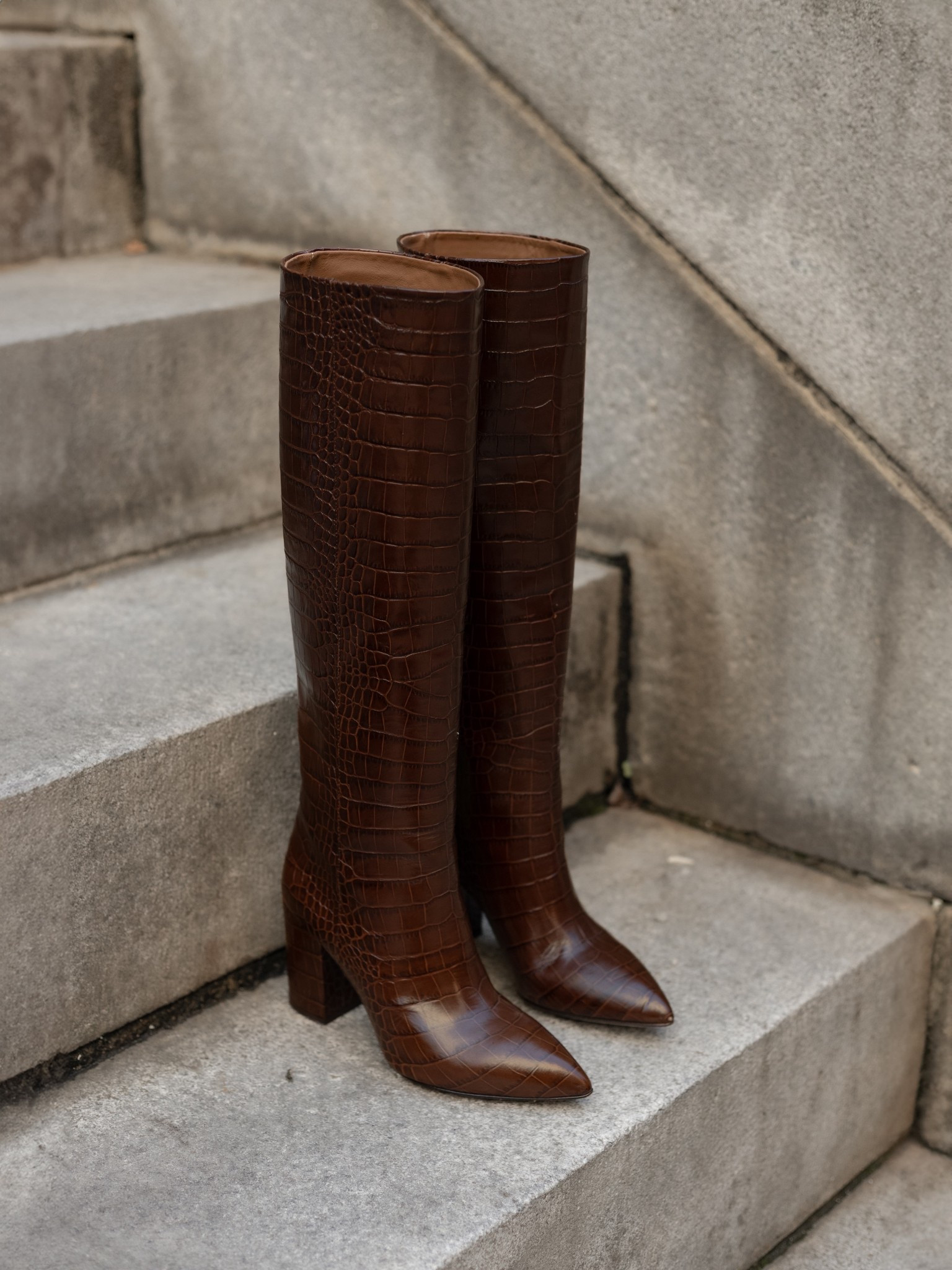 My boots obsession 🤎 These chocolate brown Paris Texas embossed boots have been on my wishlist forever, and it still feels like a dream every time I wear them.

I’ve rounded up some of my favorite boots of the season across a wide price range to give you plenty of options 🤎

#LTKHoliday #LTKootd #LTKSeasonal