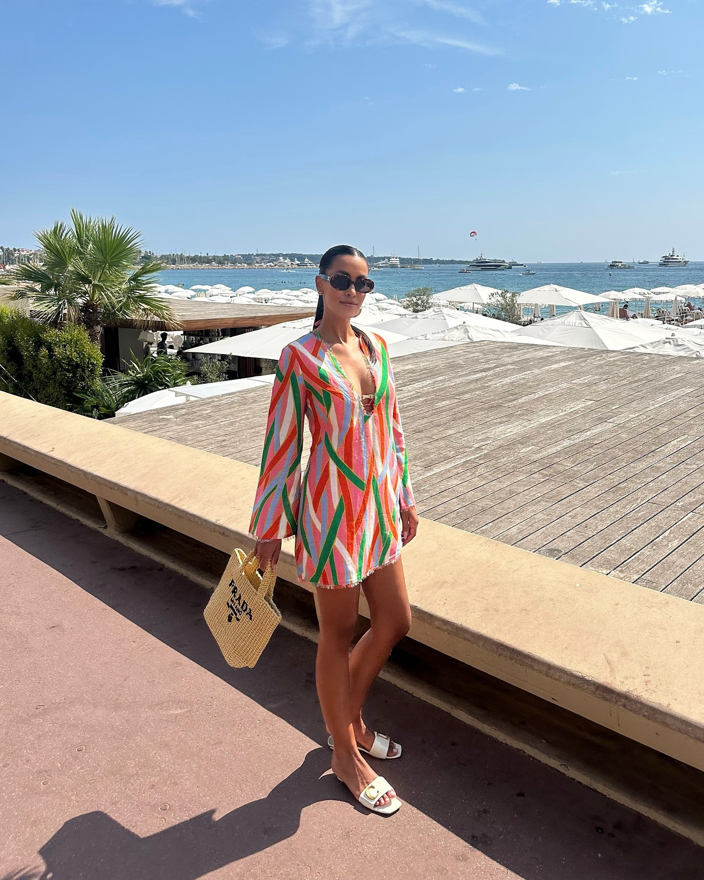 🌼🌴🌺 cannes 🌼🌴🌺