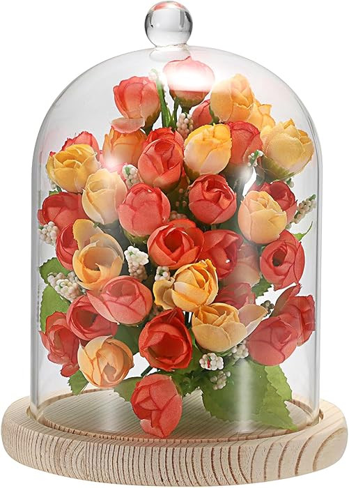 JUXYES Glass Display Dome Cloche with Wood Base, Clear Glass Dome Cloche Bell Sphere Jar Snow Glo... | Amazon (US)