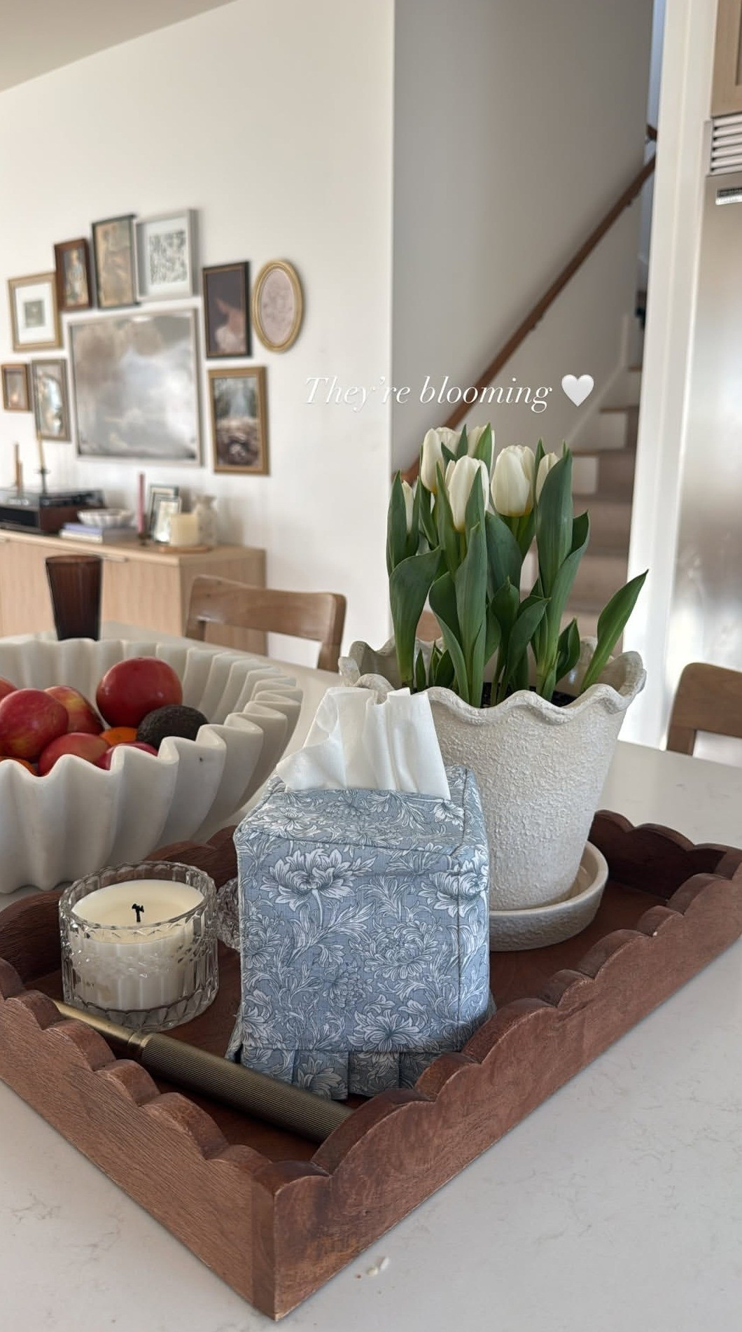 blooming tulips and this planter 😍 

 #LTKHome