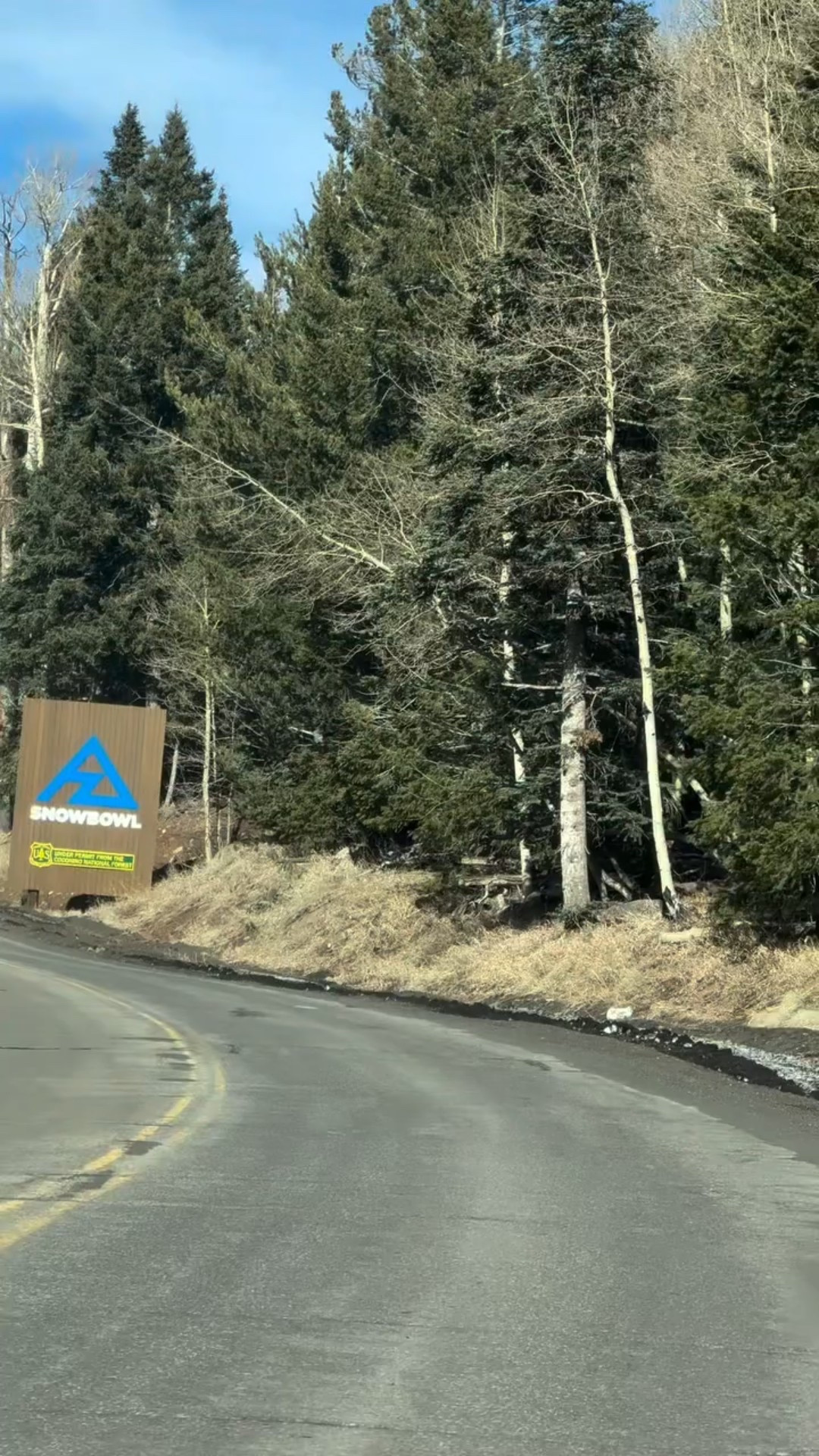 A little reminder from the mountains 🏔️
Life doesn’t wait until everything feels perfect—and neither should we. This day at Snowbowl was full of laughter, cold air, and the kind of memories that remind you today is the day to live fully. Chase the dream, take the trip, say yes more often. I believe in you.

#LTKvlog #LTKmomlife #LTKdayinmylife