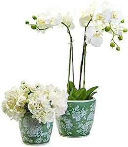 Two's Company Countryside Set of 2 Hand-Painted Cachepots/Planters | Amazon (US)