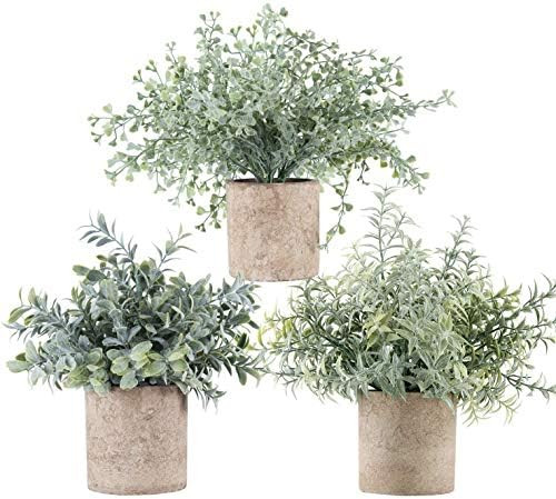 Der Rose 3 Pack Mini Potted Fake Plants Artificial Plastic Eucalyptus Plants for Home Office Desk Ro | Amazon (US)