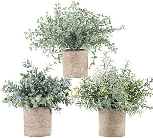 Der Rose 3 Pack Mini Potted Fake Plants Artificial Plastic Eucalyptus Plants for Home Office Desk Ro | Amazon (US)
