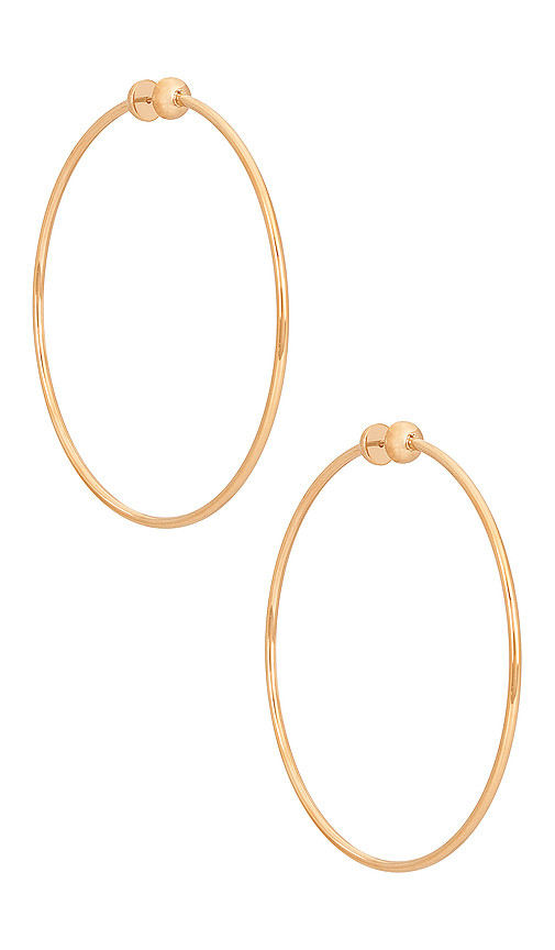 Jenny Bird Icon Large Hoop Earrings in Metallic Gold. | Revolve Clothing (Global)