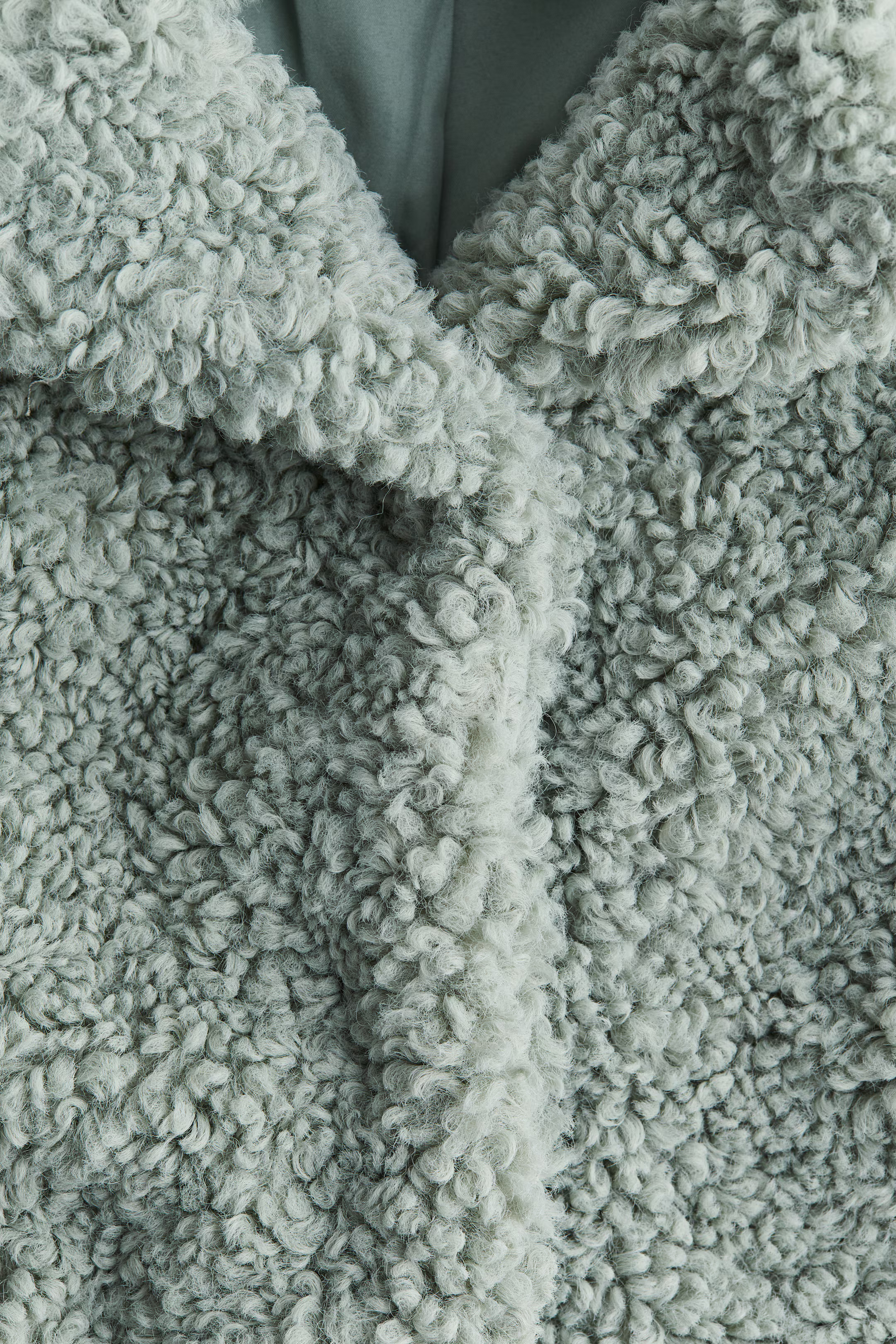 Teddy Fleece Coat | H&M (US + CA)