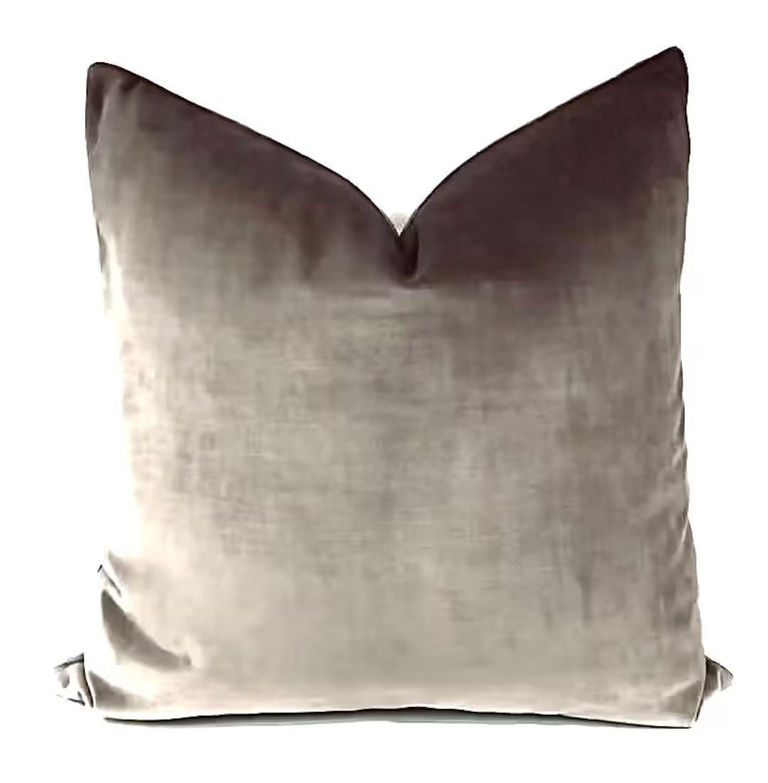 Luxury Taupe Velvet Pillow Cover, Gift for Her, Beigethrow Pillow Covers, Velvet Cushion Case, 18... | Etsy (US)