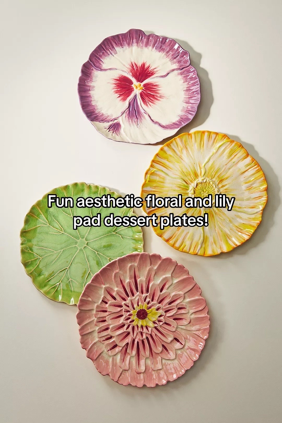floral plates 

 #LTKHome #LTKFindsUnder50