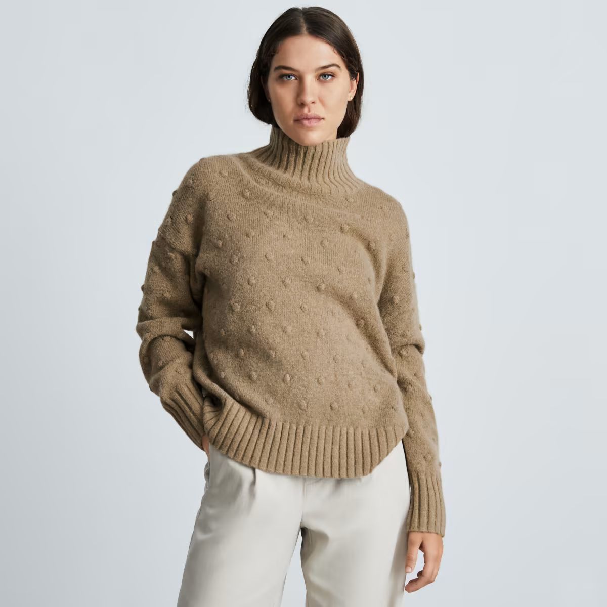 The Alpaca Turtleneck | Everlane