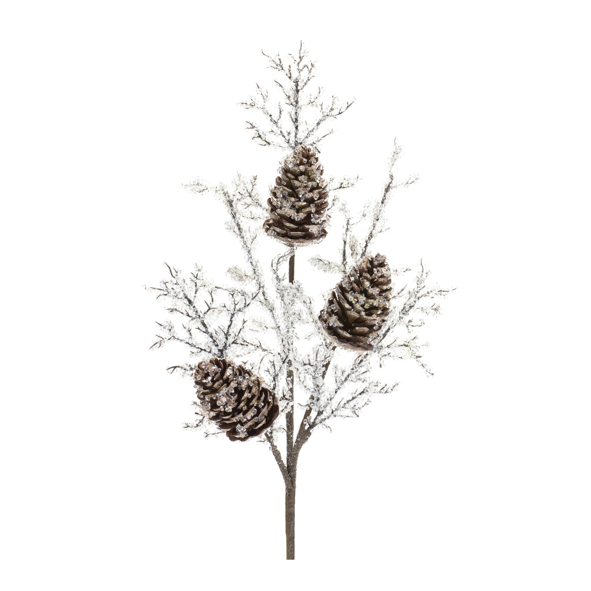 Arrangement (Set of 2) | Wayfair North America