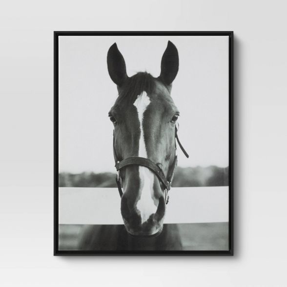 24" x 30" Black and White Horse Framed Canvas - Threshold™ | Target