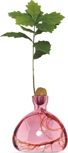 Acorn Vase | Nordstrom