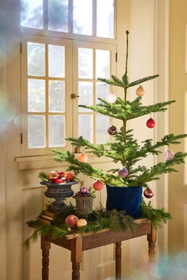 Tabletop Tree | Terrain