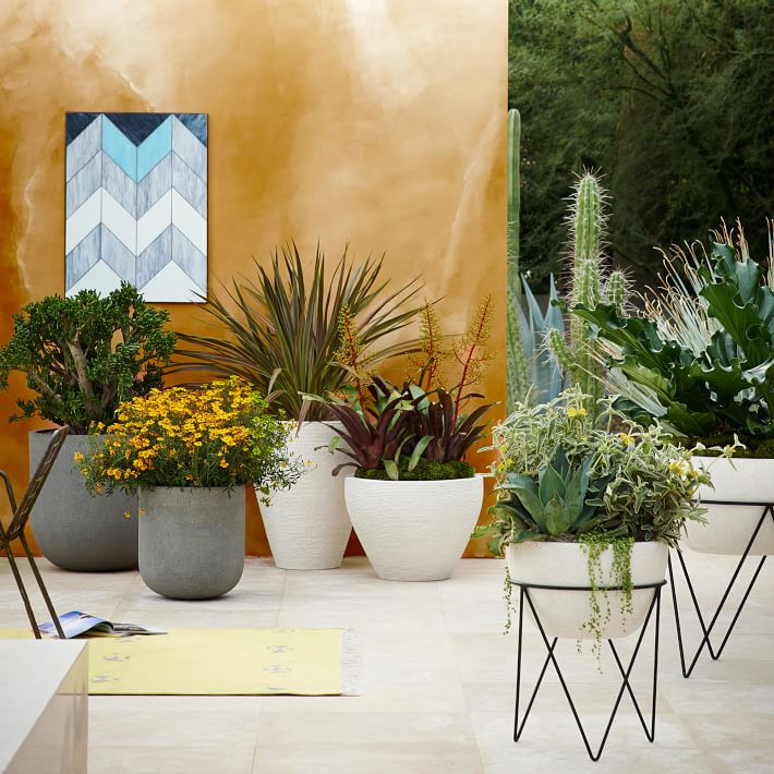 Iris Indoor/Outdoor Planters | West Elm (US)