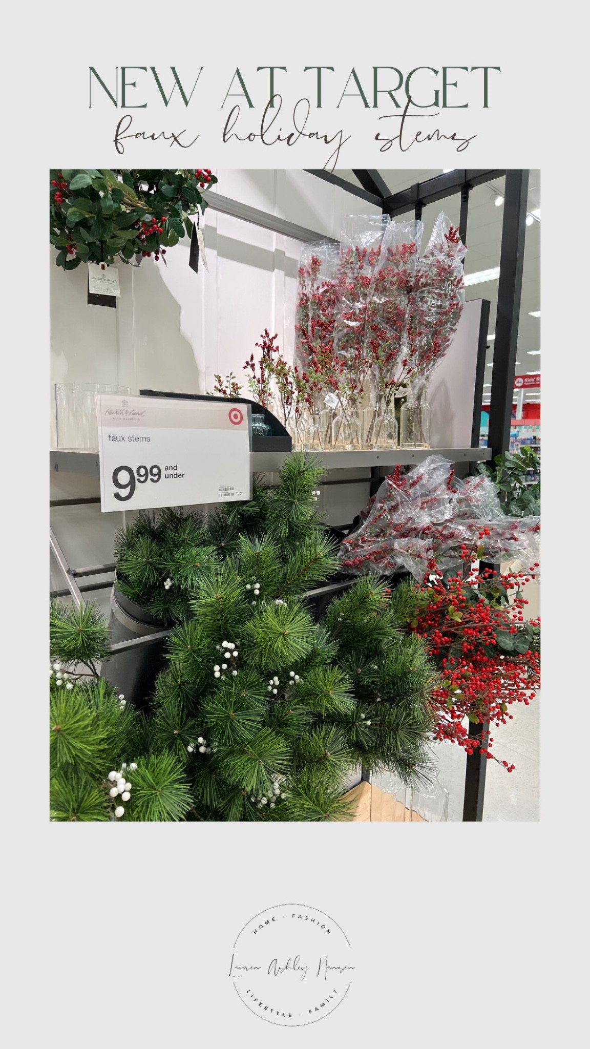 Faux holiday stems for under $10

#LTKHoliday #LTKSeasonal #LTKhome