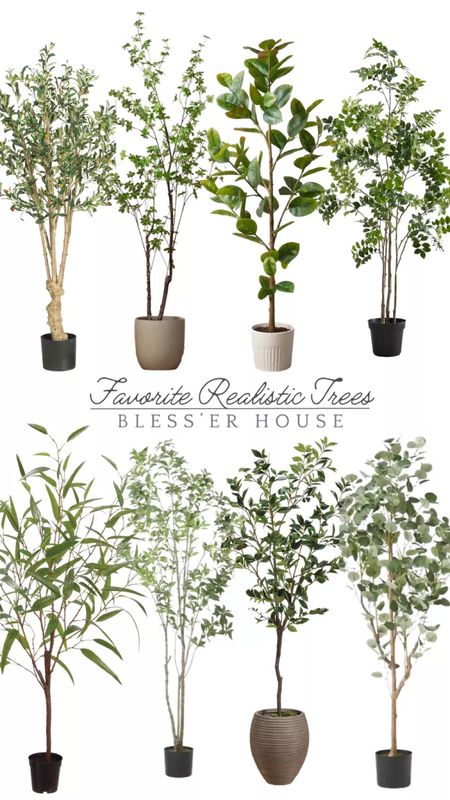 Round up of our favorite realistic faux artificial  trees!

Pottery barn, Amazon, fake tree, greenery, Nearly Natural 82", Olive Artificial Silk Trees Green, 5' Faux Indoor Silk Olive Tree, Williams Sonoma, 
OLIGANE 6FT Artificial Fake Trees, Tall Fake 

#LTKhome #LTKsalealert