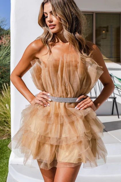 Paris Tulle Dress | Shop Priceless