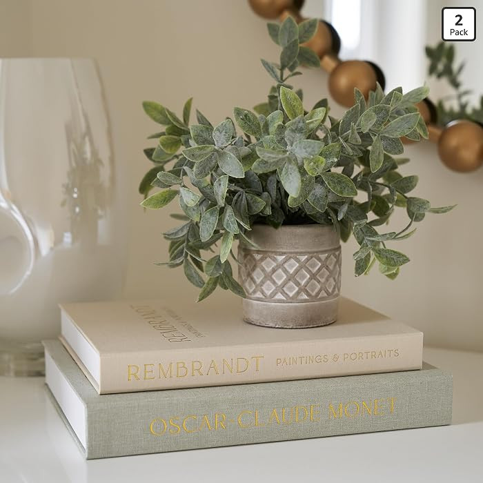 ZICOTO Set of 2 Beautiful Decorative Linen Books - Aesthetic Faux/Fake Books for Modern Home Deco... | Amazon (US)