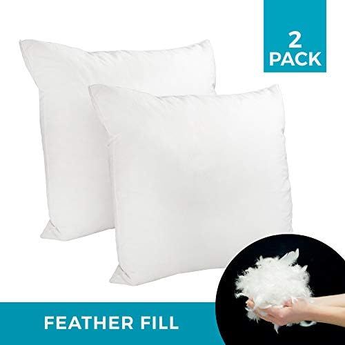 Westex Premium Feather Replacement Cushion Insert, 20" x 20" 2-Pack, White | Amazon (CA)