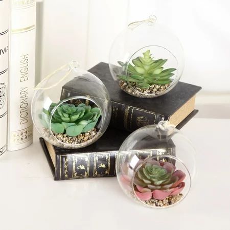 Set of 3 Glass Blub Succulents | Walmart (US)