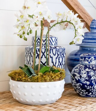 x Mrs. Southern Social Shallow Ceramic Stoneware Dotted Planter | Dillards