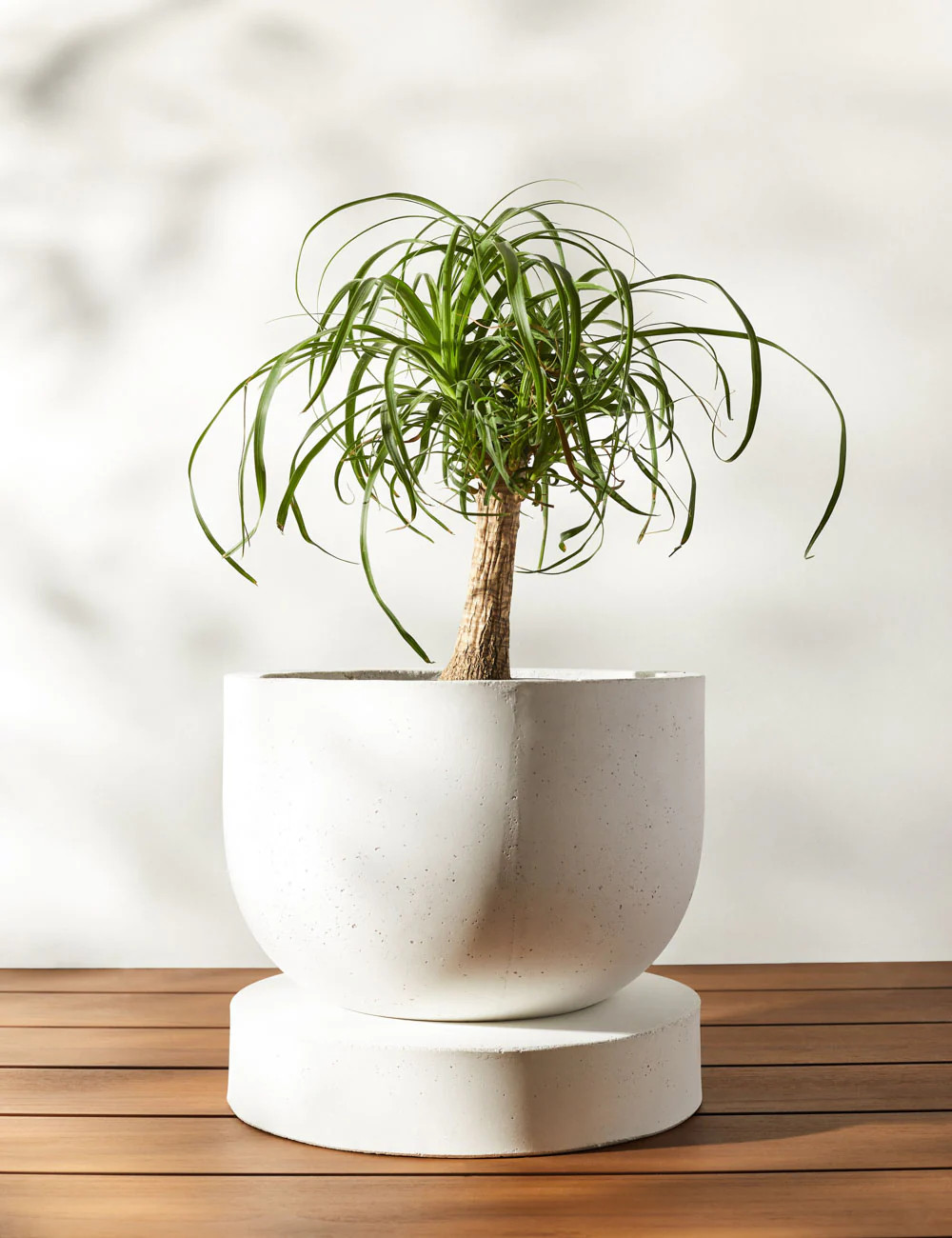 Dreama Indoor / Outdoor Planter | Lulu and Georgia 