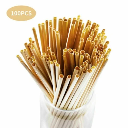 100 PCS Disposable Straws Eco-friendly Drinking Wheat Straw for Smoothies Coffee | Walmart (US)