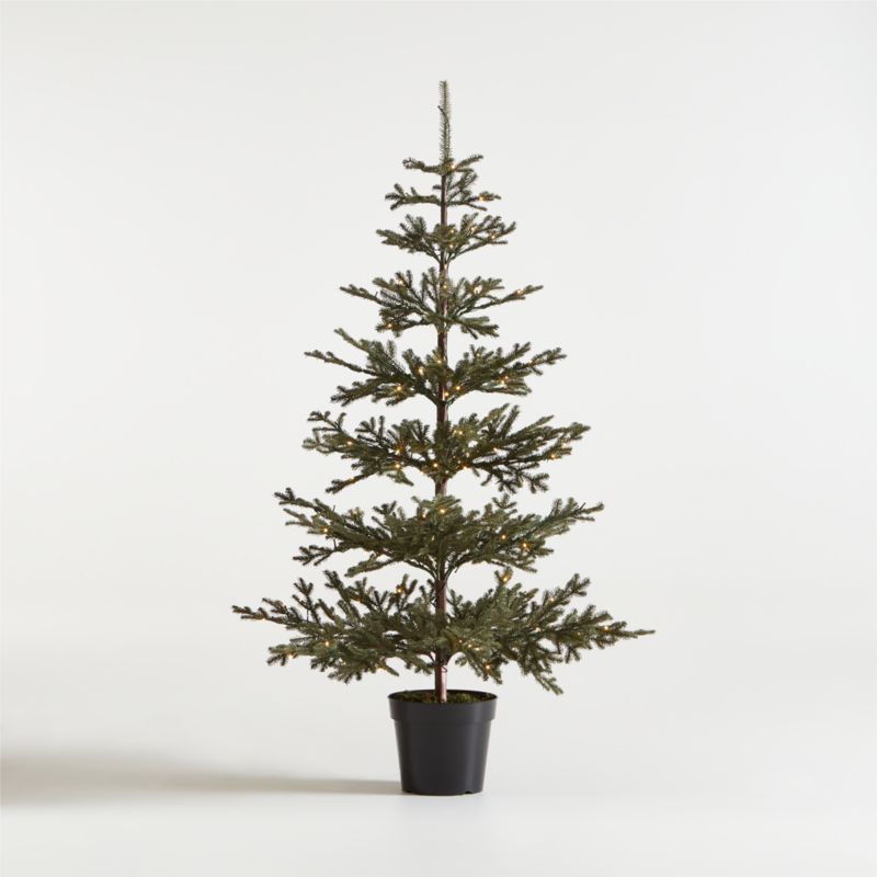 Faux Pine Pre-Lit LED Christmas Tree with White Lights 6' | Crate & Barrel | Crate & Barrel