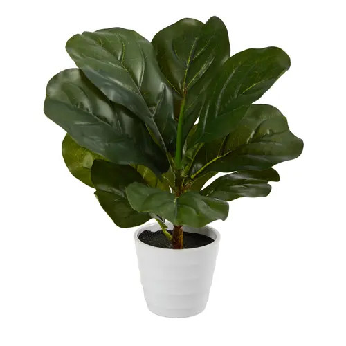 NEARLY NATURAL 11-in Fiddle Leaf Artificial Plant in White Planter in Green at Nordstrom | Nordstrom