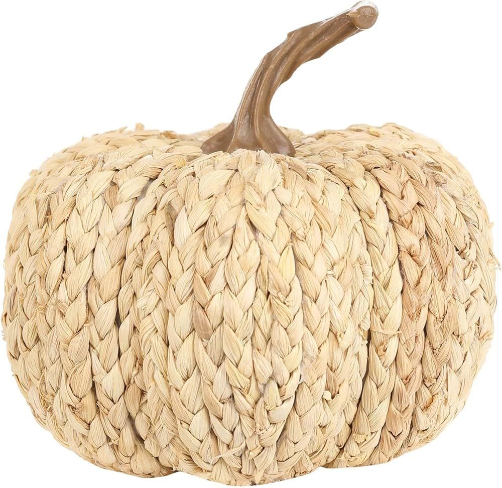 Fun Costumes White Cornpeel Pumpkin - ST | Amazon (US)