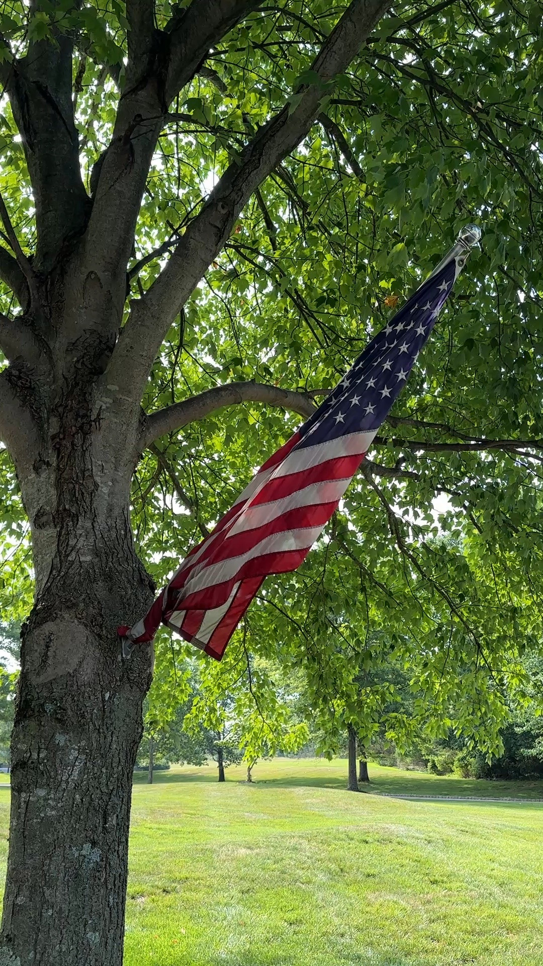 It’s flag season!  Decorate with American flags to celebrate the 4th of July - and America’s 250th birthday!  

#ltkamerica #ltkflags #ltkpatriotic

#LTKSeasonal #LTKHome