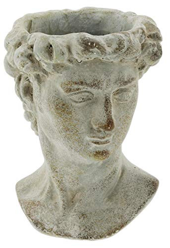 The Bridge Collection Antique Style Old World Greek Statue Head Cement Face Planter Pot | Amazon (US)