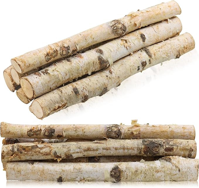 6Pack Small Birch Logs for Fireplace Unfinished Wood Crafts DIY Home Decorative Burning,Fireplace... | Amazon (US)