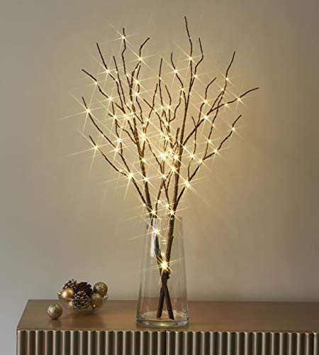 LITBLOOM Lighted Brown Willow Branches 32IN 100 LED with Timer Battery Operated, Tree Branch with Warm White Lights for Holiday Christmas Decoration Indoor Outdoor Use | Amazon (US)