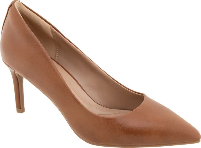 Clara Pointed Toe Pump (Women) | Nordstrom