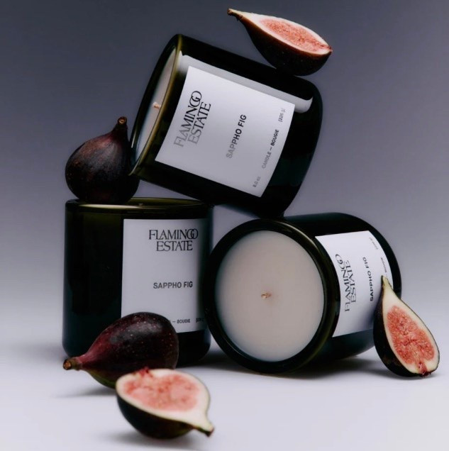 New scent. Perfect summer to fall transition. Fall candles.  Fig candle. Housewarming gift. Hostess gift.

#LTKHome #LTKselfcare #LTKfoodie