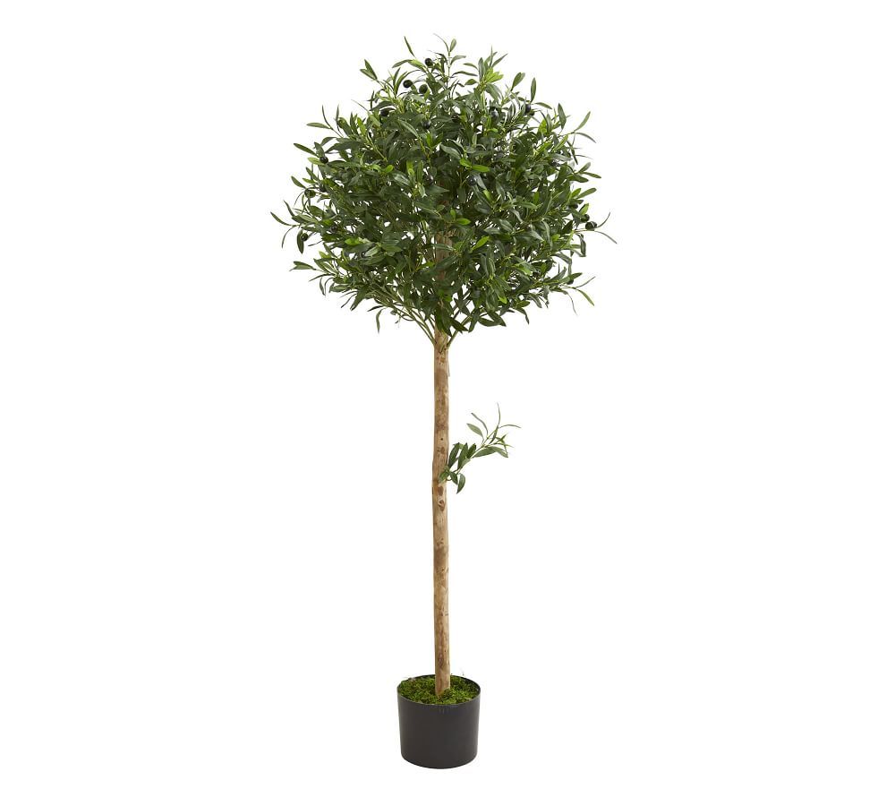 Faux Olive Topiary Tree | Pottery Barn (US)