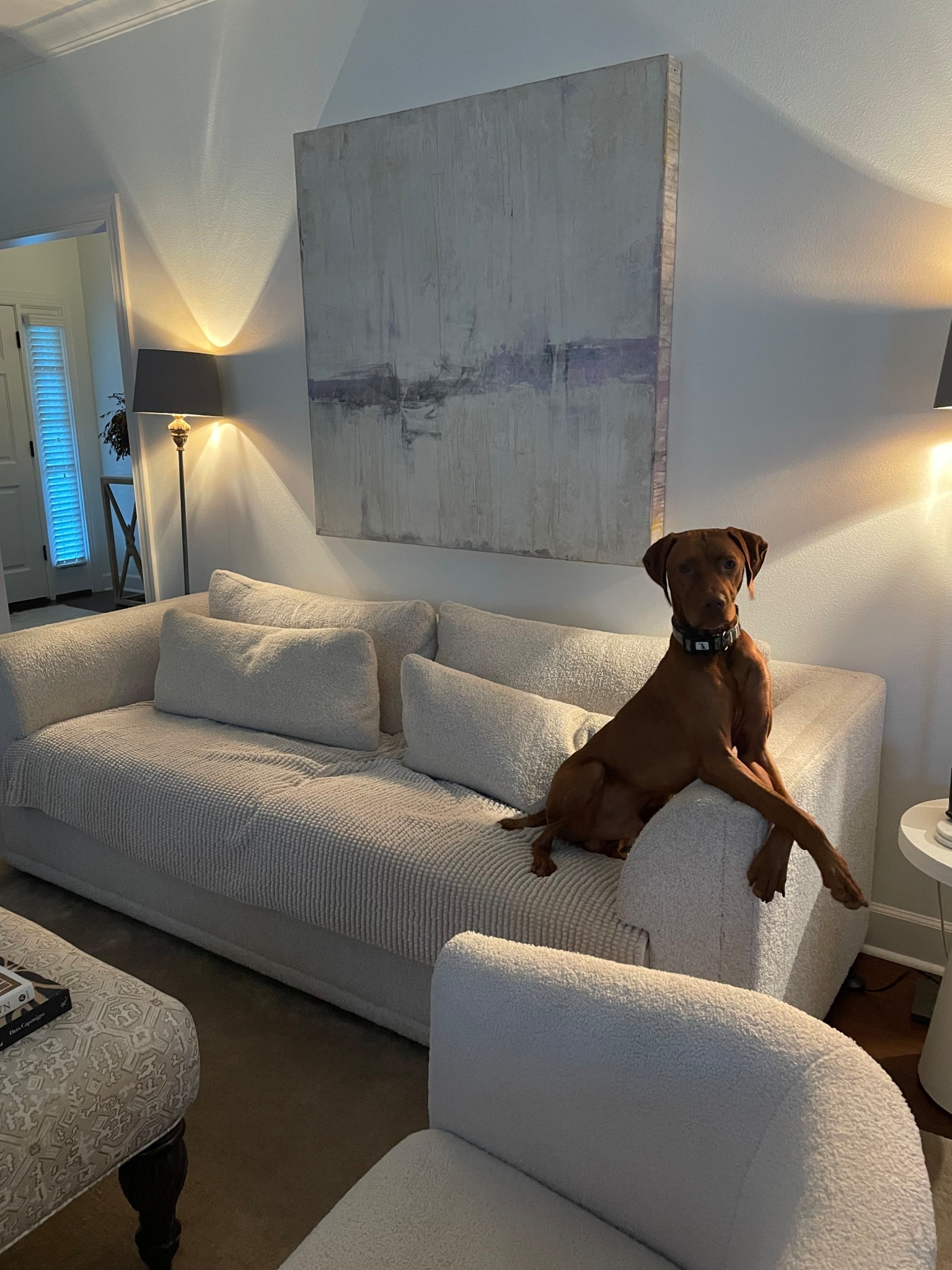 Perfect couch cover for dogs or babies- machine washable. If you’re like me and had to have all white furniture it’s a good thing to have!! #amazon

#LTKPets #LTKBaby #LTKHome