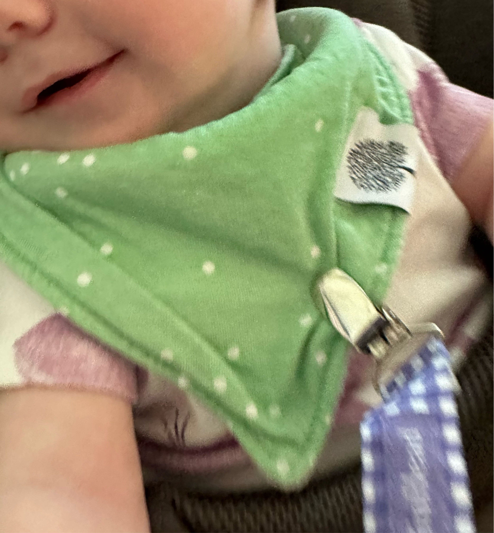 Leak proof burp, drool & spit-up bandana bib

#LTKbump #LTKbaby #LTKxPrimeDay