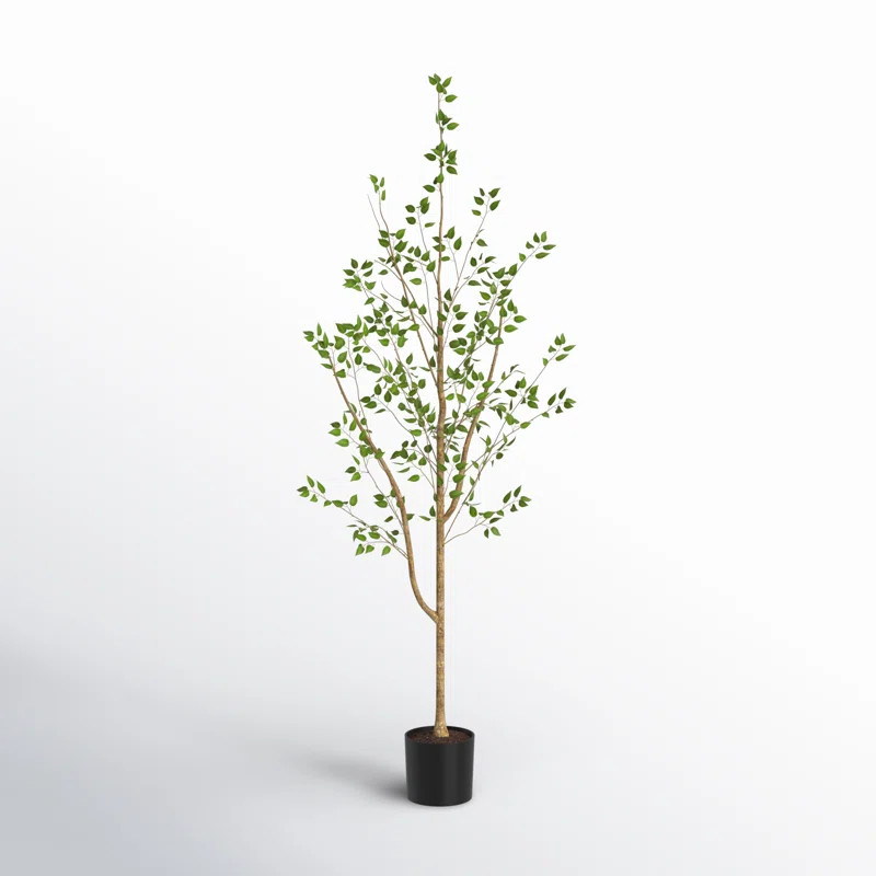 Birch Lane™ Milnor 5Ft. Minimalist Citrus Artificial Tree | Wayfair | Wayfair North America