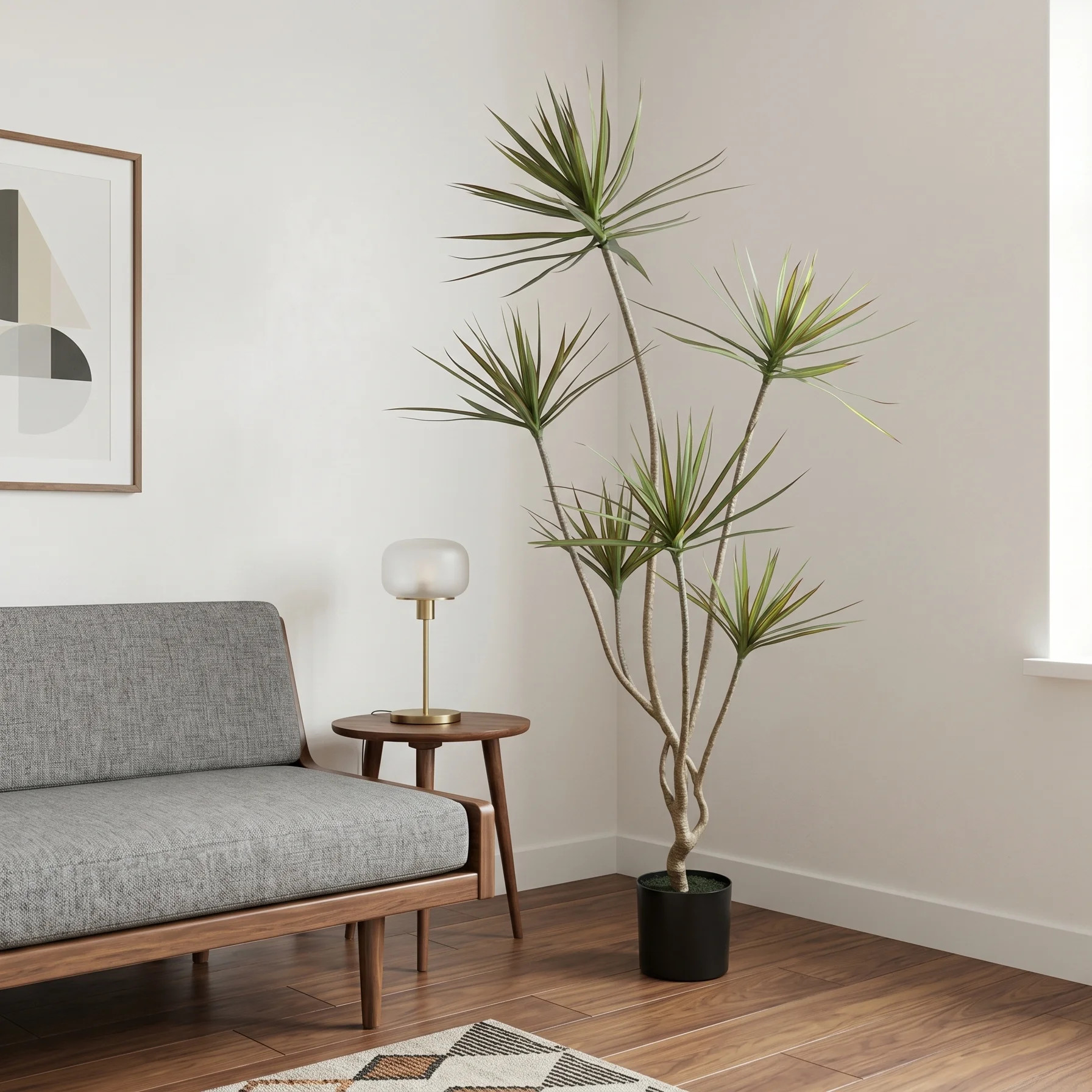 Dracaena Drop-in Plant | Wayfair North America