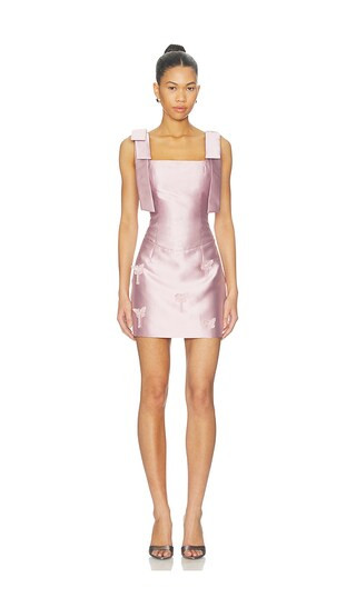 Tula Mini Dress in Rose Pink | Revolve Clothing (Global)