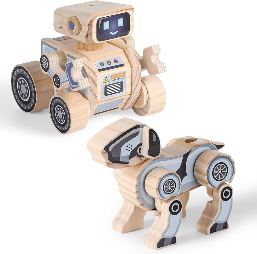SainSmart Jr. 2-in-1 STEM Kits, Wooden Robot Assembly Toy Set, Woodworking Crafts Projects for Ki... | Amazon (US)