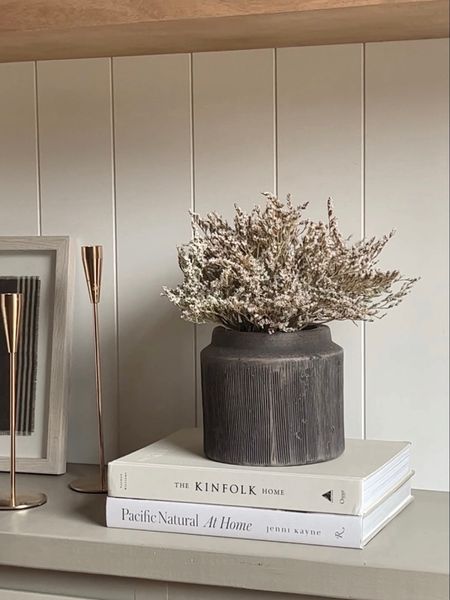 The viral Walmart planter back in stock and come in 2 sizes ft. these perfect dried stems from Afloral!

Walmart home finds, budget friendly home decor, home finds, Walmart decor, viral vase, trending home decor, spring stems, afloral, dried stems

#LTKFindsUnder50 #LTKStyleTip #LTKHome