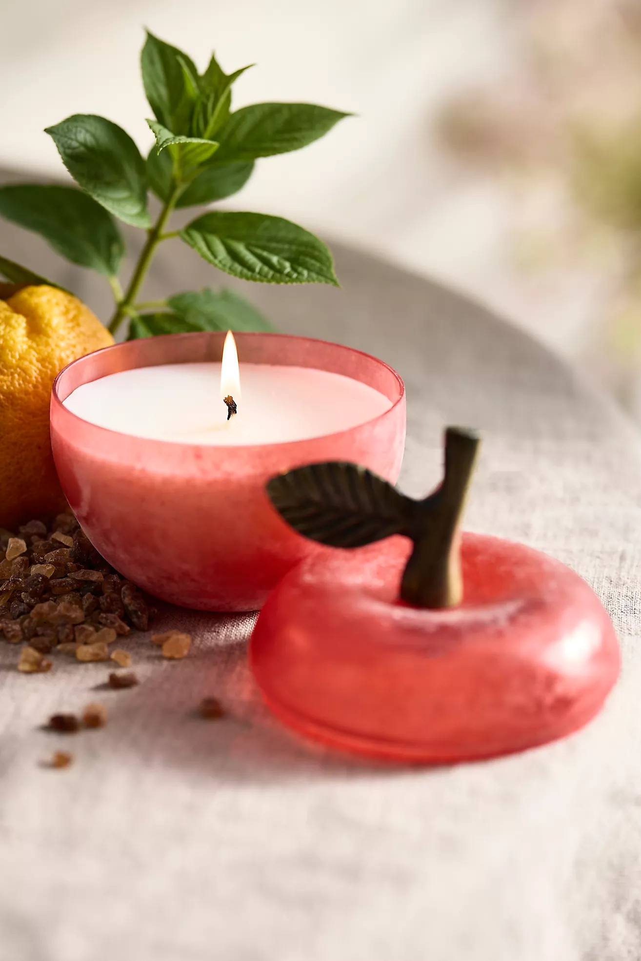 Harvest Fruit Candle | Anthropologie (US)