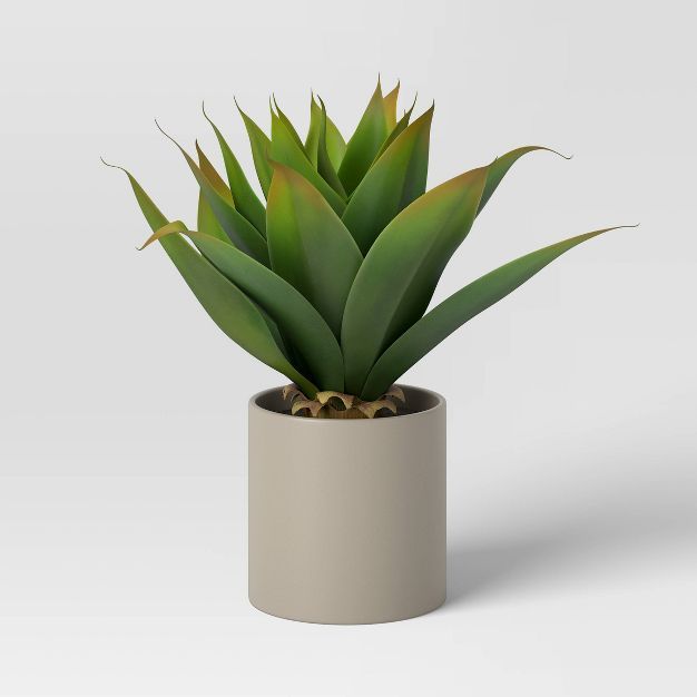 Artificial Medium Wide Leaf Succulent in Ceramic Pot - Project 62™ | Target
