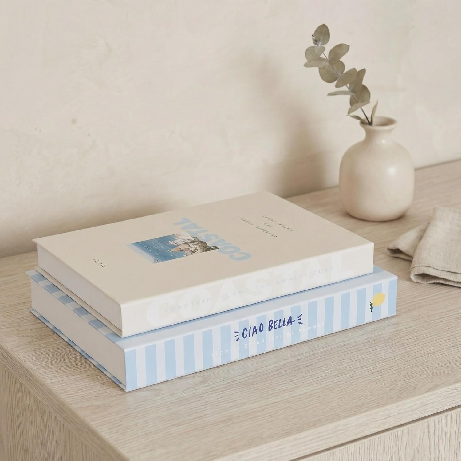 Beautiful Decorative Books - Set of 2 Coastal Boxes for Coffee Table Decor | Amazon (US)