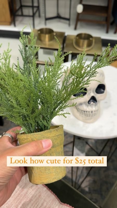 Look how cute for $25! The skull is a candy dish, but I added a faux plant instead. 

The Spoiled Home 

#LTKfindsunder50 #LTKhome #LTKHoliday