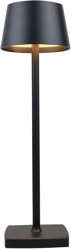 amhshkou Rechargeable led Cordless Desk Lamps,Aluminum, dimmable, Suitable for Indoor and Outdoor... | Amazon (US)